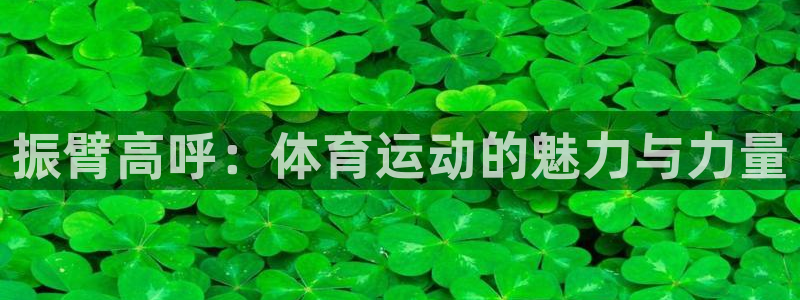 意昂体育注册代理