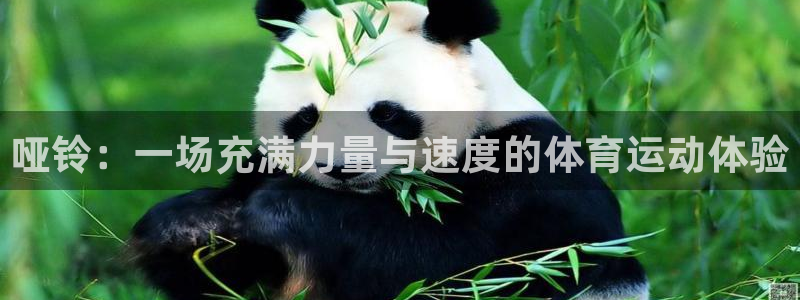 蓝狮在线4代理