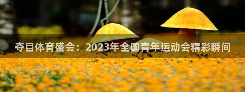 蓝狮在线2代理注册