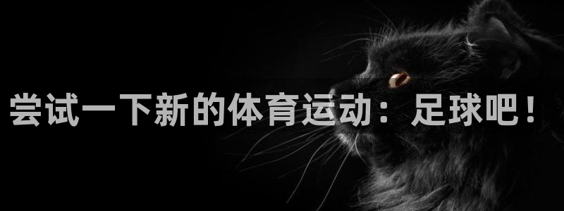 蓝狮在线体育凯捷平台注册