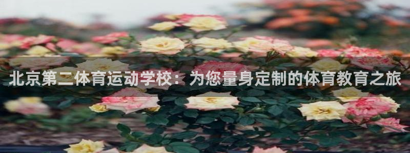 蓝狮在线
