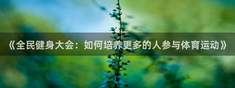 蓝狮在线体育代理申请流程