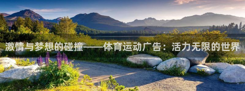 德国意昂集团