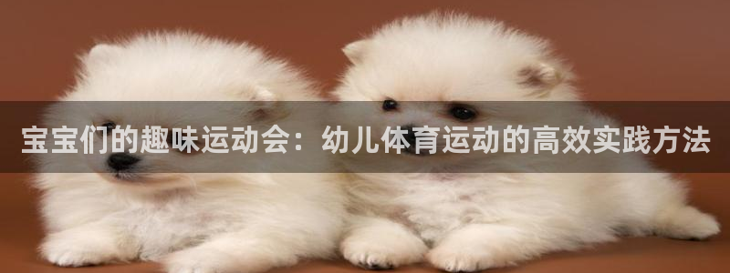 蓝狮在线体育2官网入口