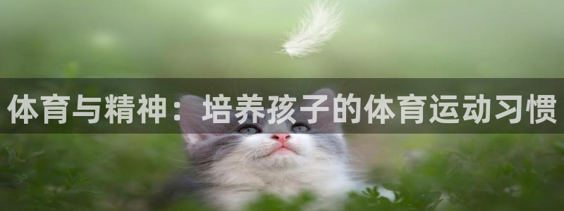 蓝狮在线平台登录