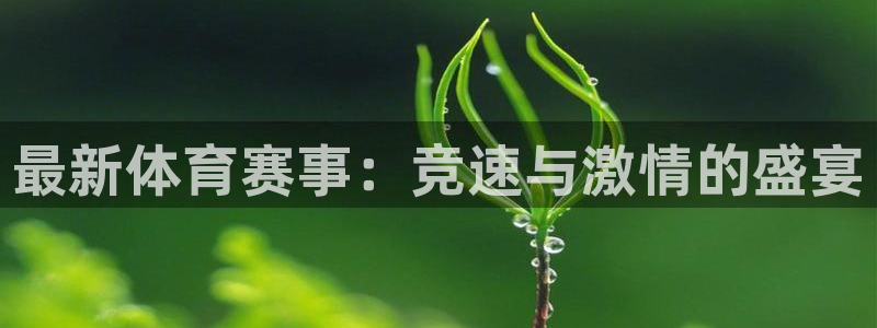 蓝狮在线4开户