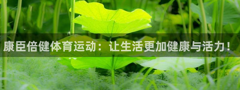 意昂平台注册