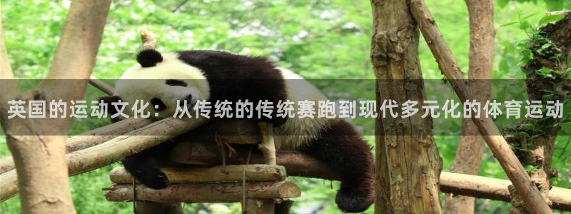 意昂体育官网登录