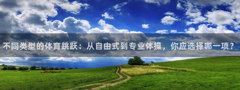福建蓝狮在线机电股份公司