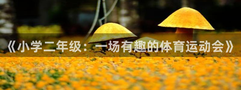 意昂平台主管